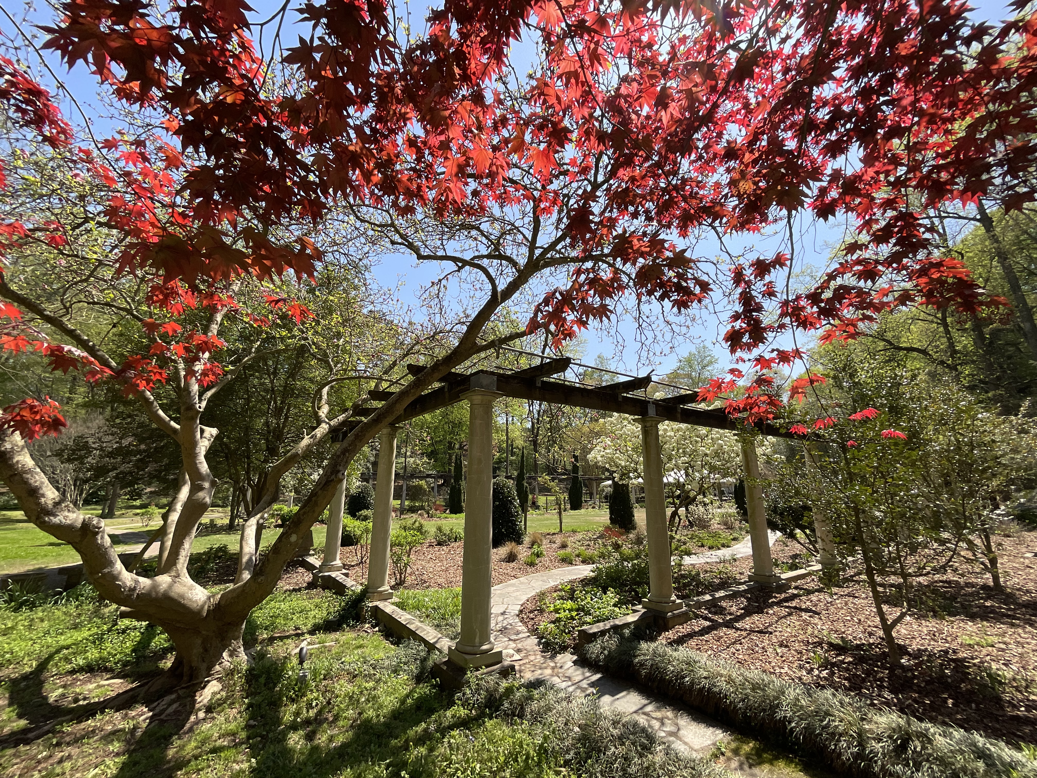 A Place Where Beauty Gathers